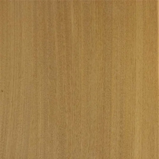 Teak-800-800