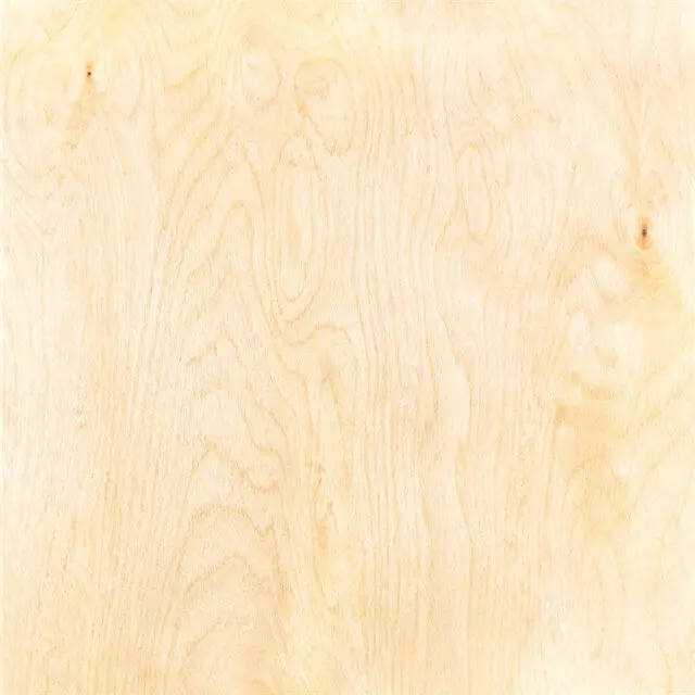 White-Birch-800-800